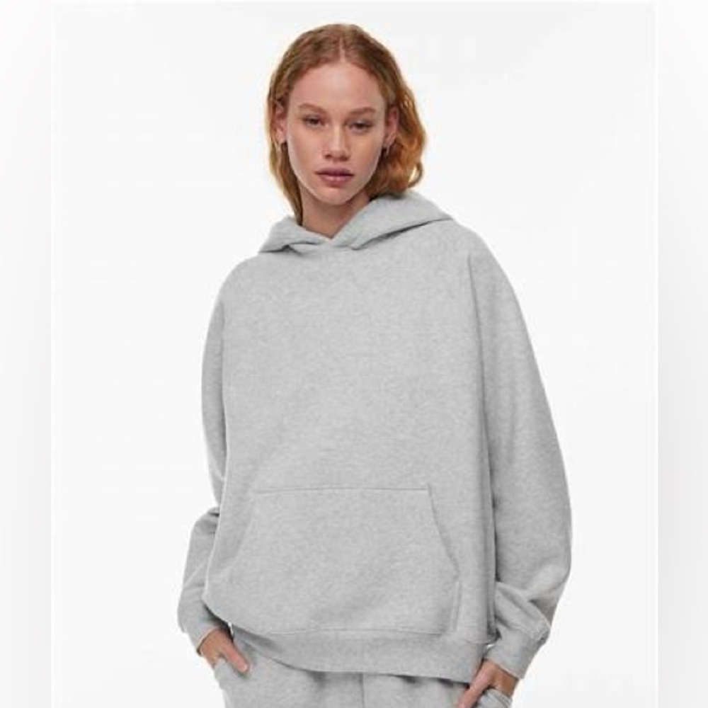 Aritizia Sweatfleece Cozy Fleece Mega Fit Raglan Hoodie in Heather Chrome